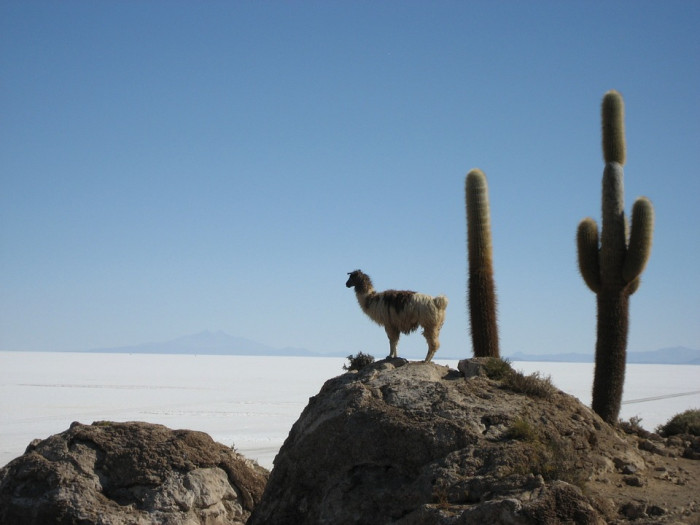 JOUR 05 : POTOSÍ – VISITE DE LA MAISON DE LA MONNAIE – UYUNI