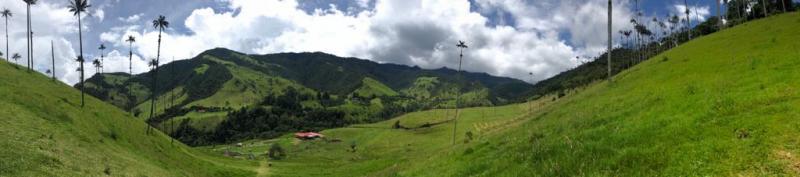 Jour 5 : Vallée de Cocora – Vol pour Bogota