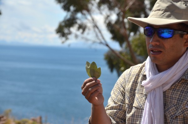 Randonnées au Pérou en immersion : du Machu Picchu au Titicaca