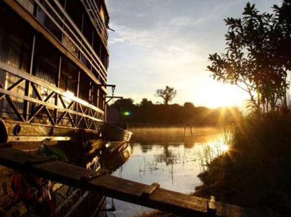 Voyage au Perou en immersion dans la forêt Amazonienne : biodiversité et navigation sur le fleuve Amazone